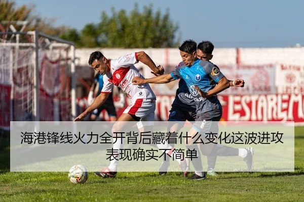 img_1780369601965_661_2_740.jpg